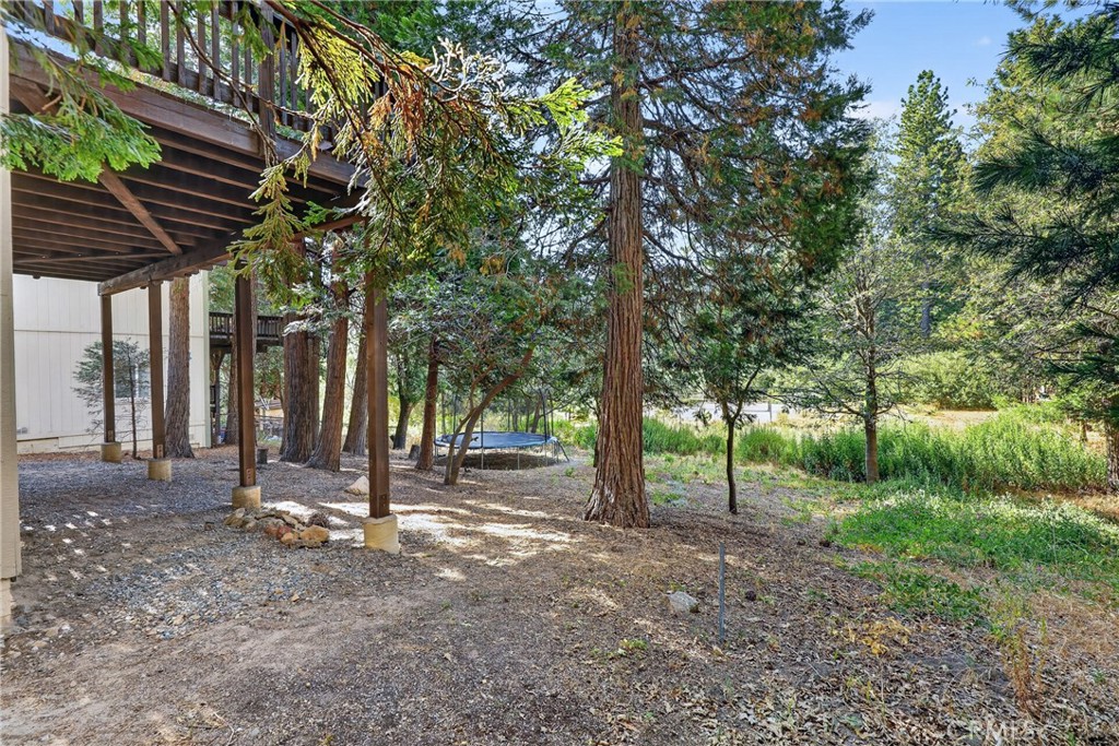27441 Meadow Property Photo 42