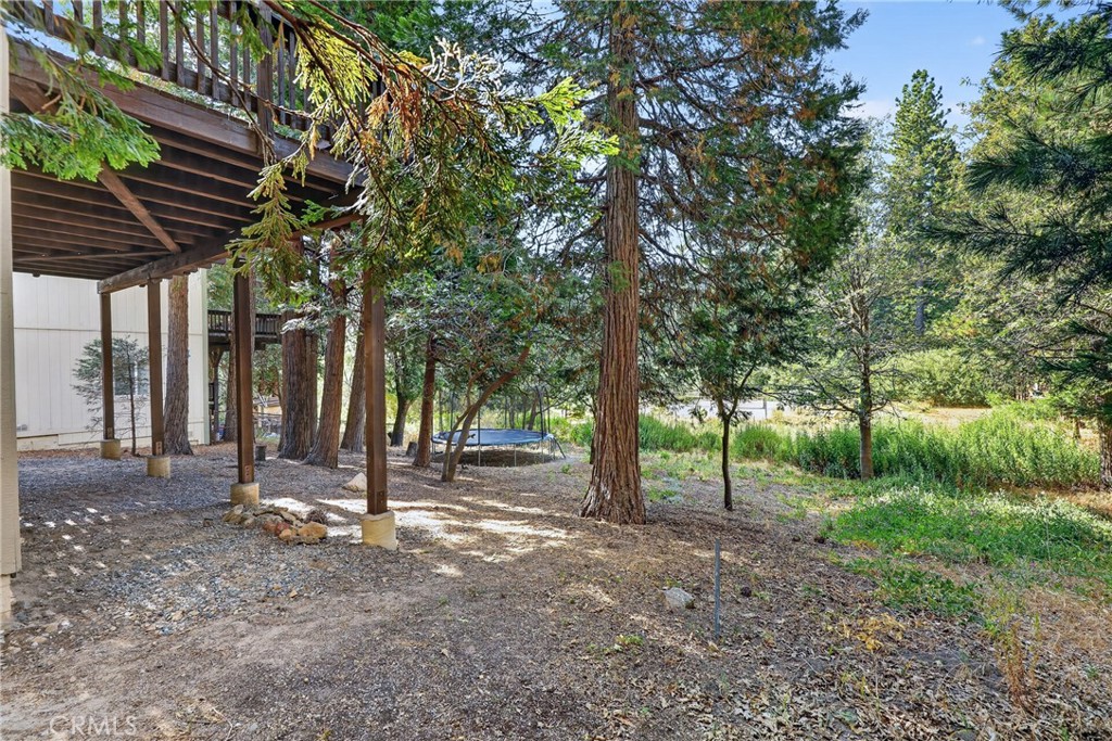 27441 Meadow Property Photo 42