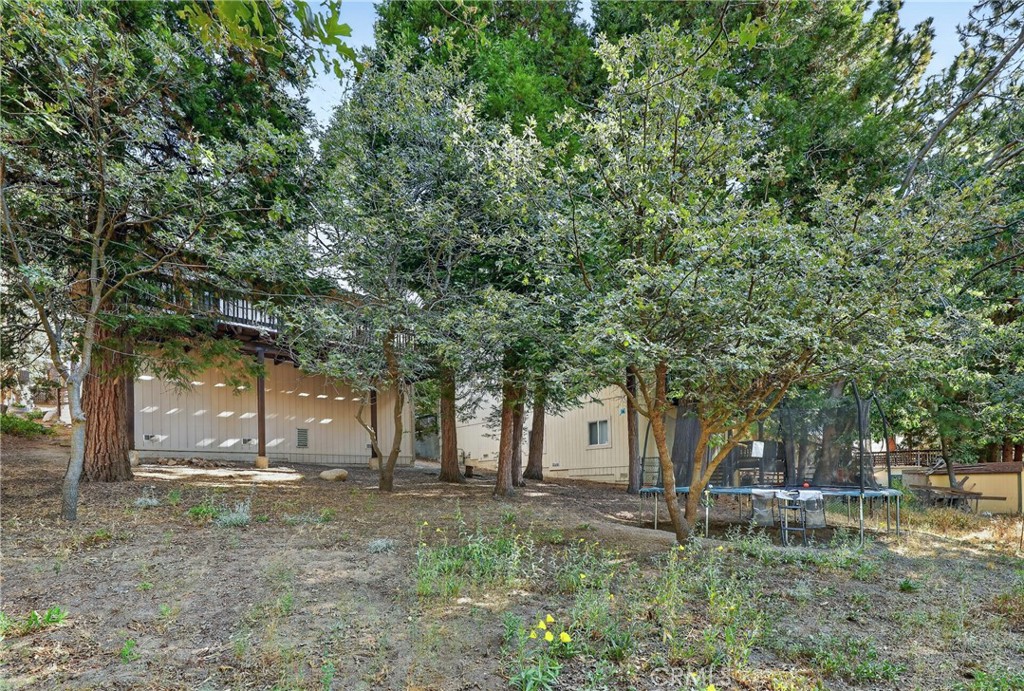 27441 Meadow Property Photo 43