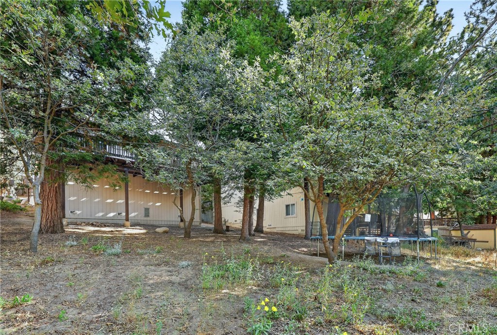 27441 Meadow Property Photo 43