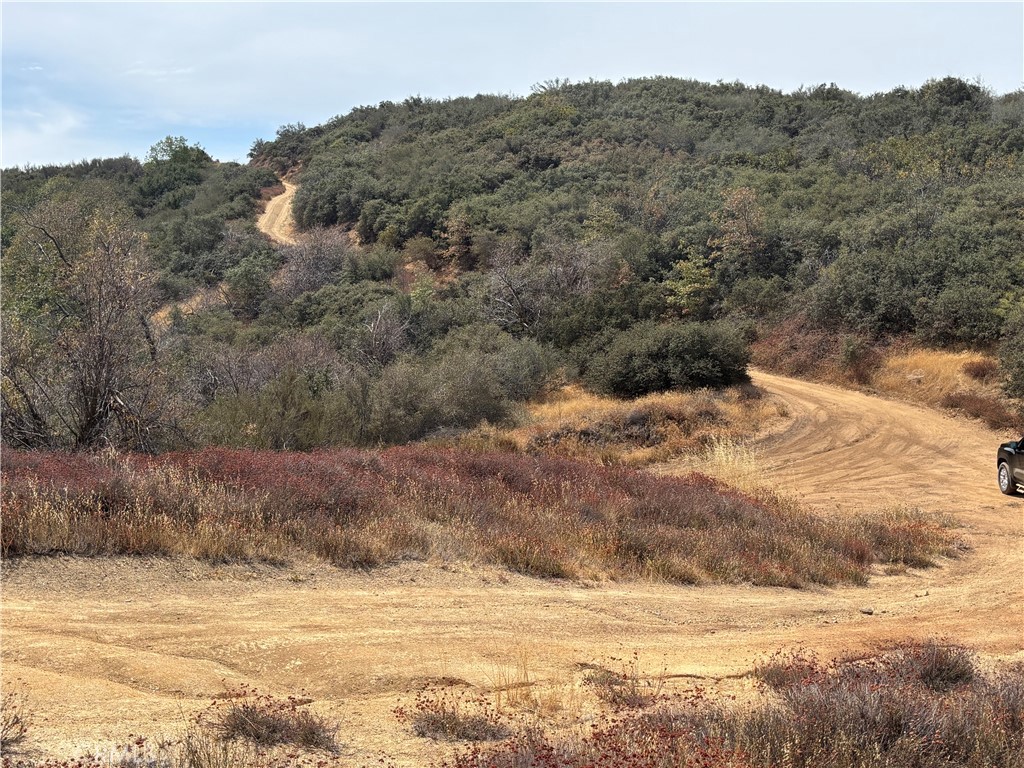 12100 Pisgah Peak Property Photo 9
