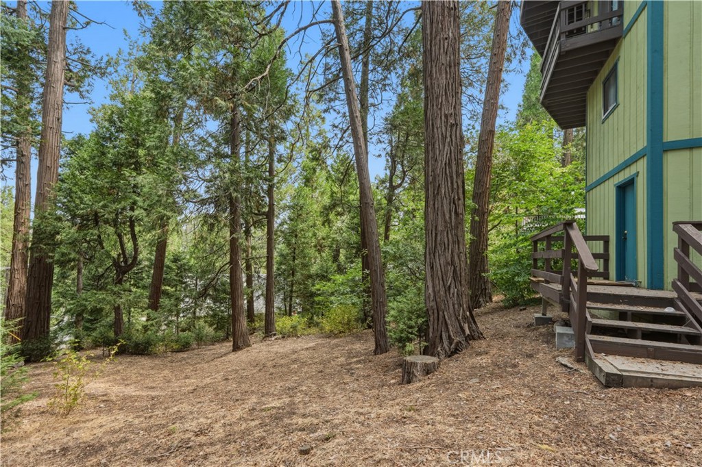 24036 Cresta Property Photo 39