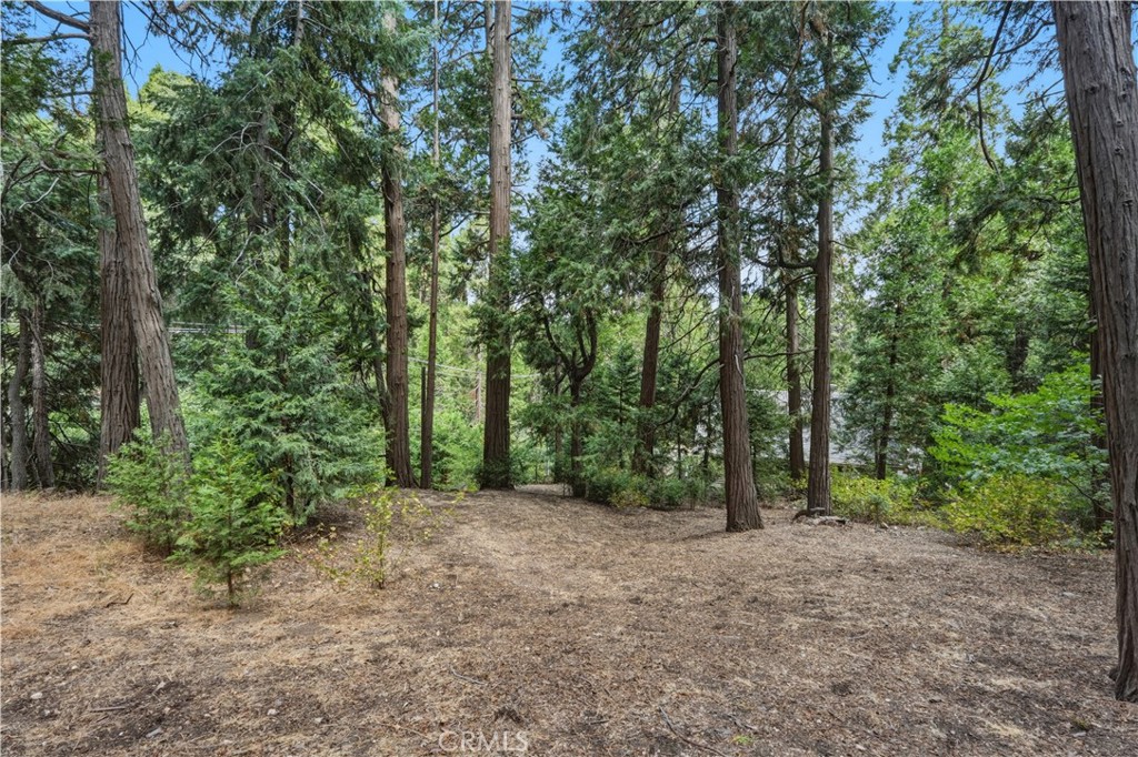 24036 Cresta Property Photo 41