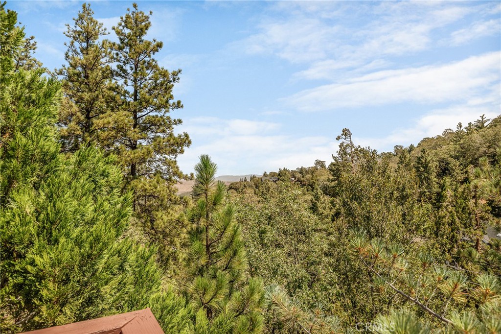 1208 Aleutian Property Photo 14