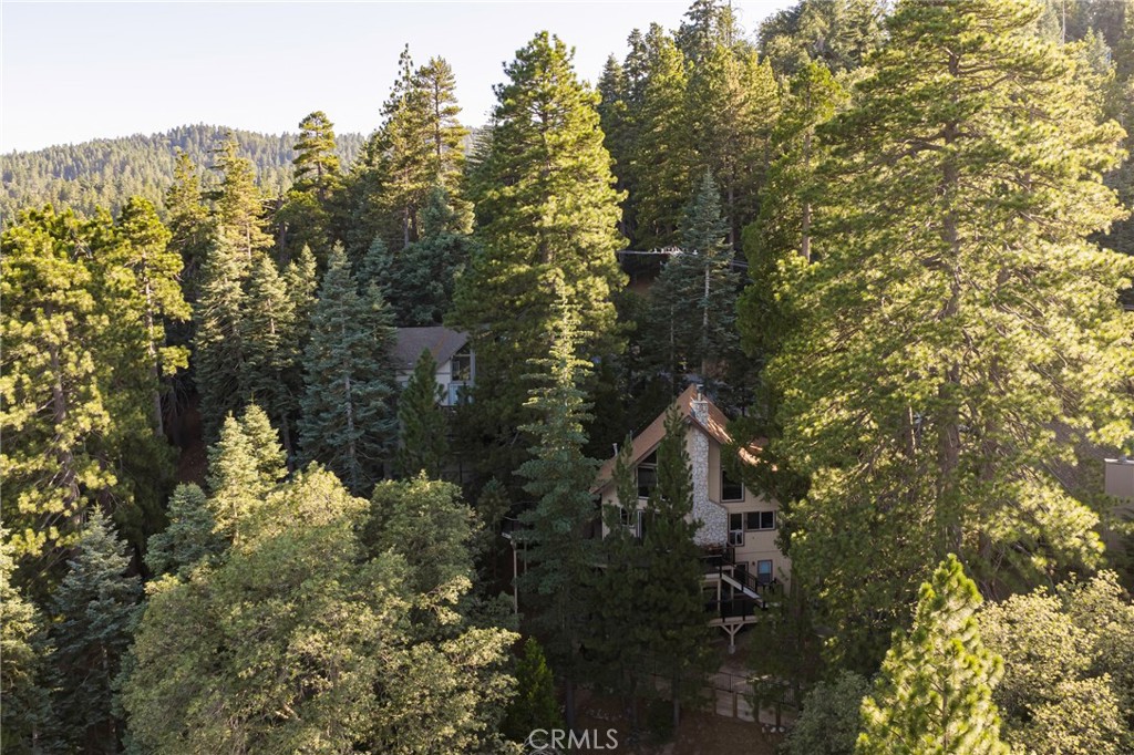 26621 Thunderbird Property Image