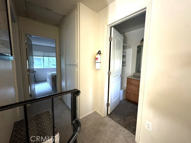 207 Cool Creek Property Photo 9