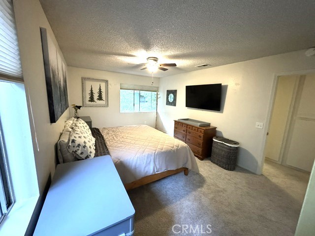 207 Cool Creek Property Photo 13