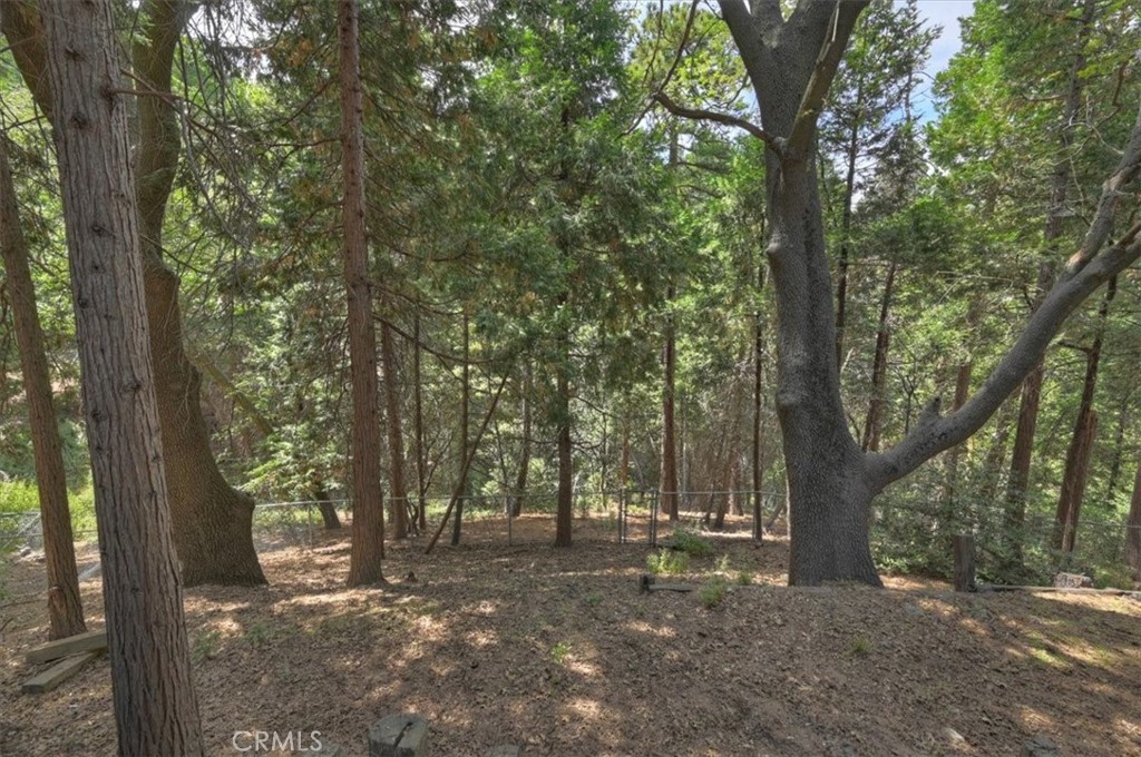 932 Cedar Drive Property Photo 29