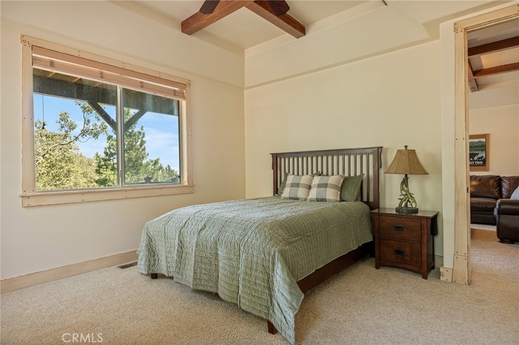 27920 Matterhorn Property Photo 43