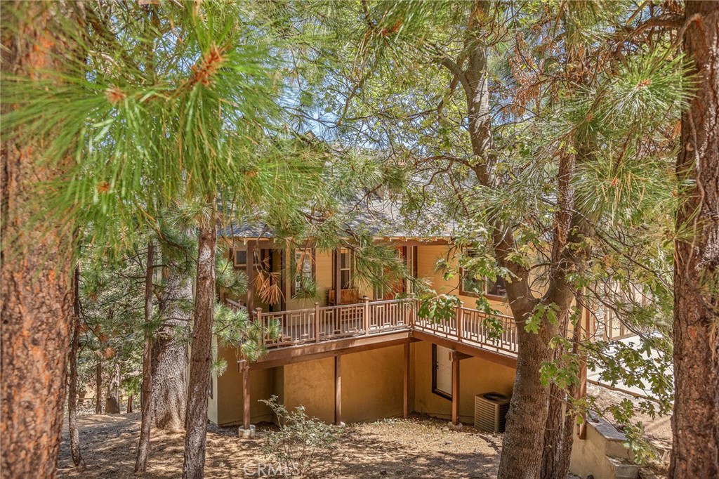 27920 Matterhorn Property Photo 49