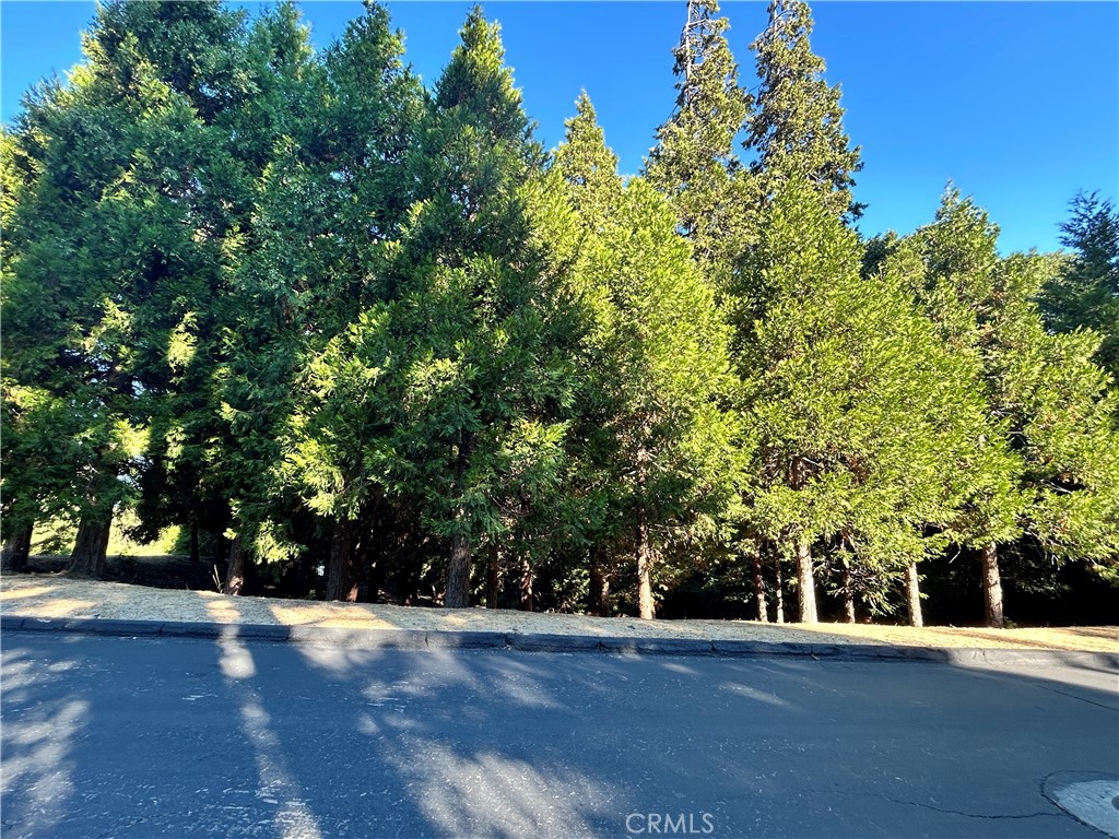 28980 White Dove Lane Property Photo 1