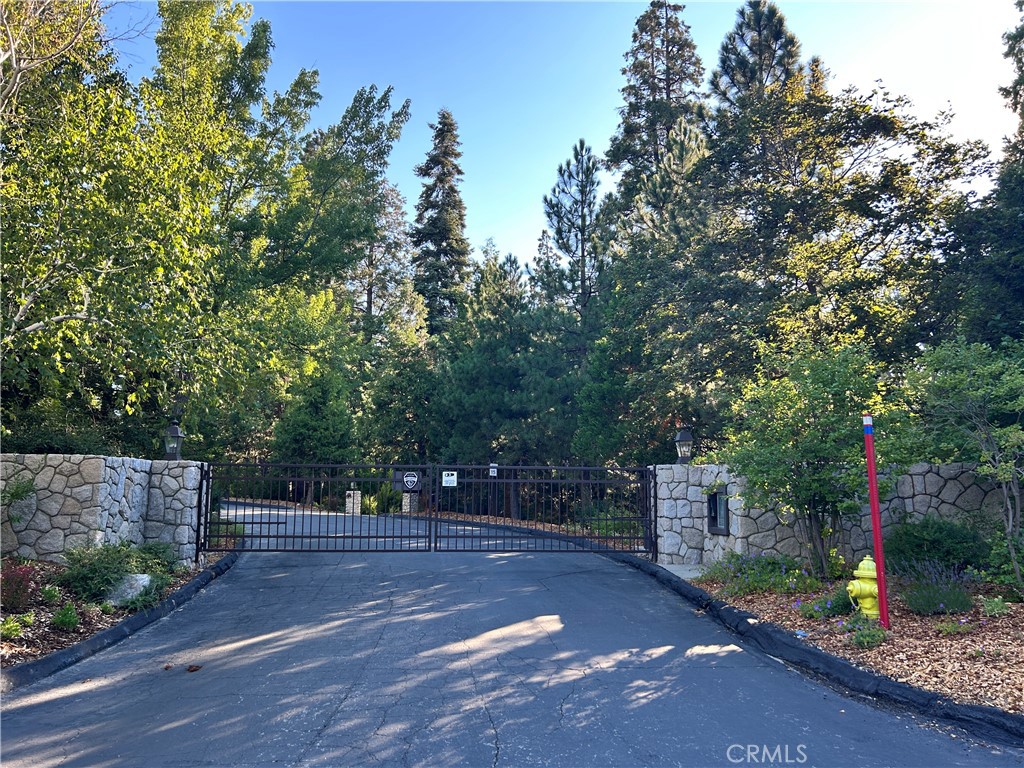 28980 White Dove Lane Property Photo 2