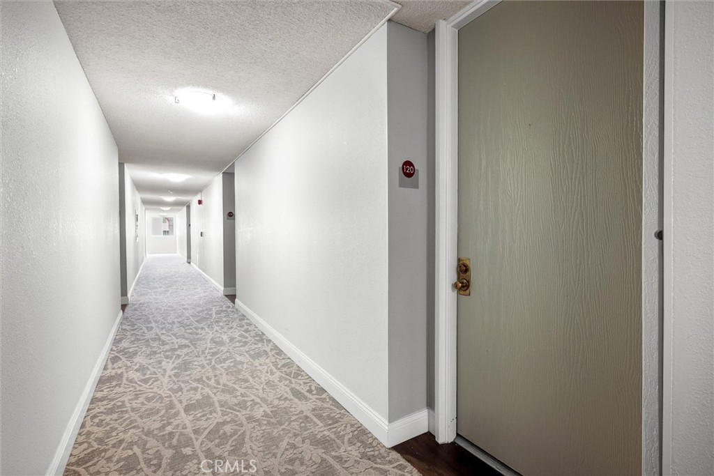 8120 Raintree Circle Property Photo 19