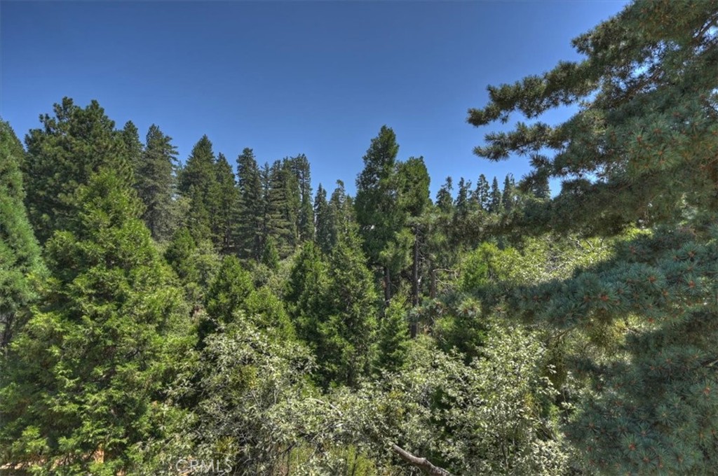 31095 Old City Creek Rd Property Photo 30