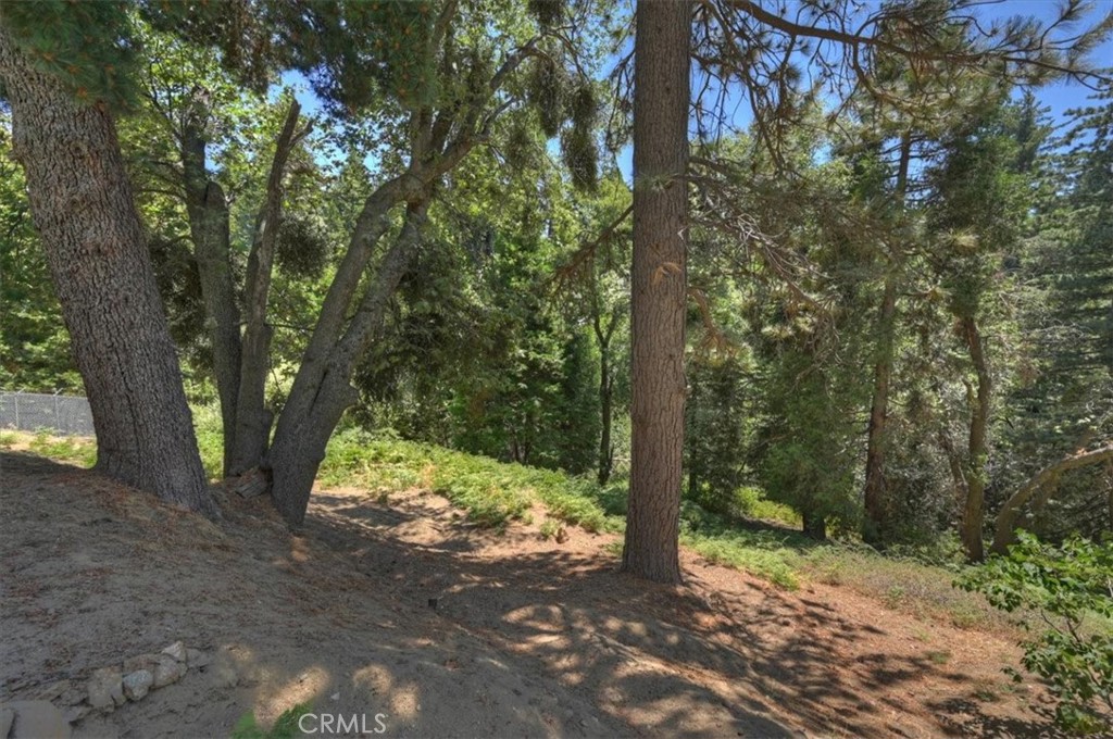 31095 Old City Creek Rd Property Photo 49