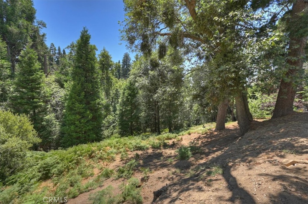 31095 Old City Creek Rd Property Photo 50