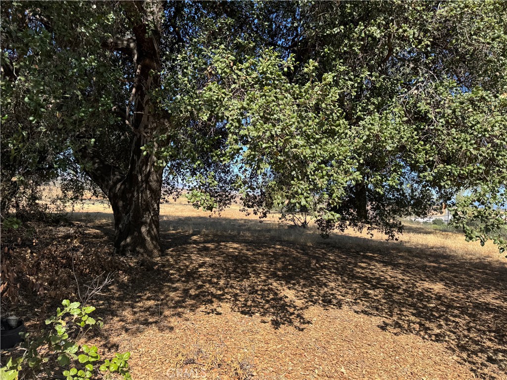 61 Redwood Property Photo 1