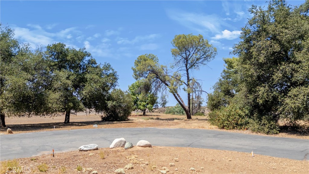 60 Redwood Property Photo 3