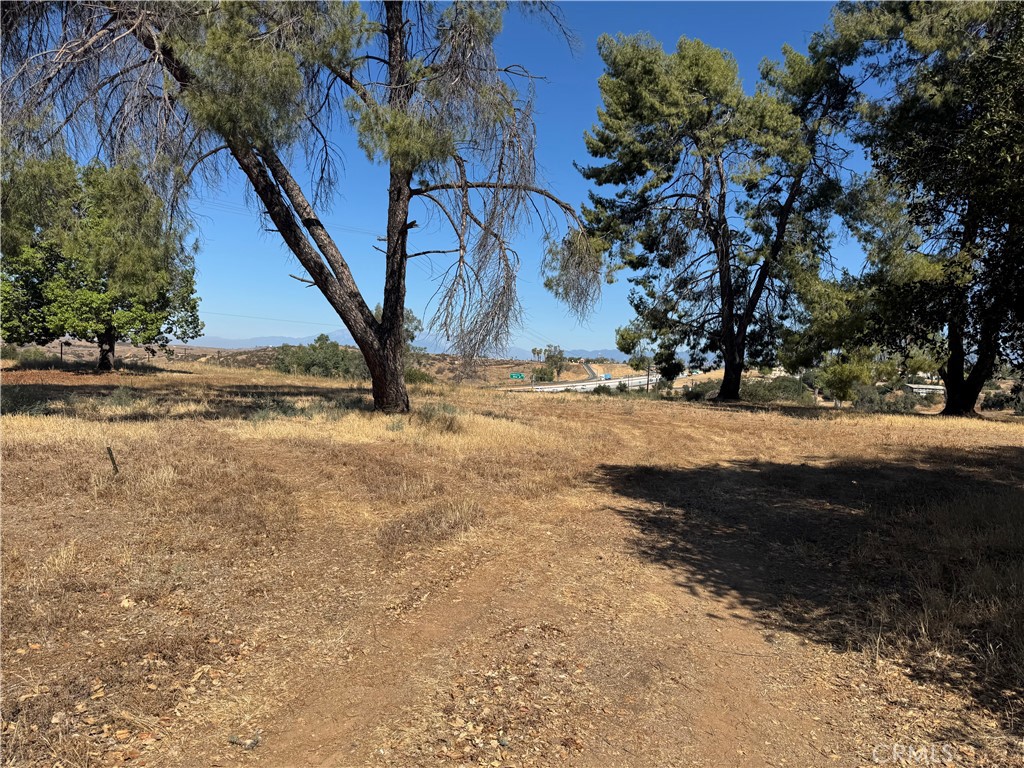 60 Redwood Property Photo 13