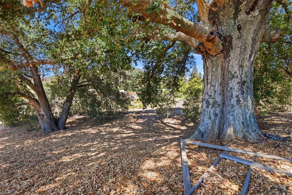 9157 Beauview Drive Property Photo 44