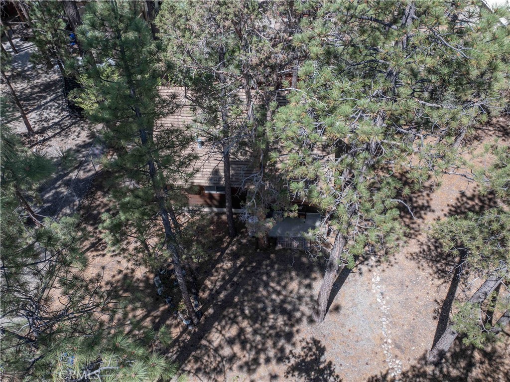 630 Pine Property Photo 31