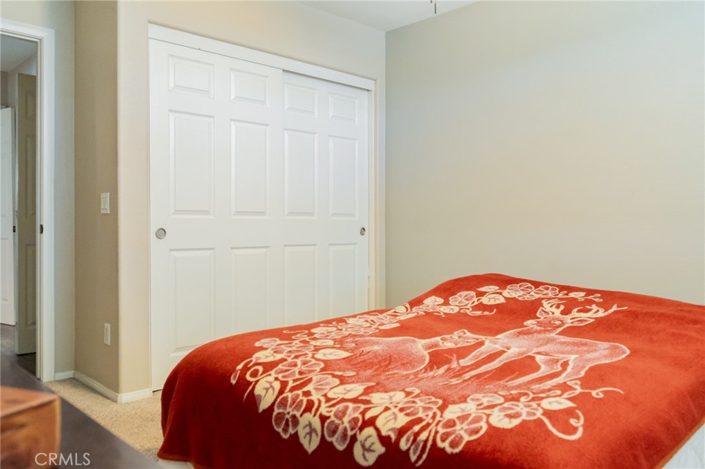 34551 Newell Street Property Photo 58