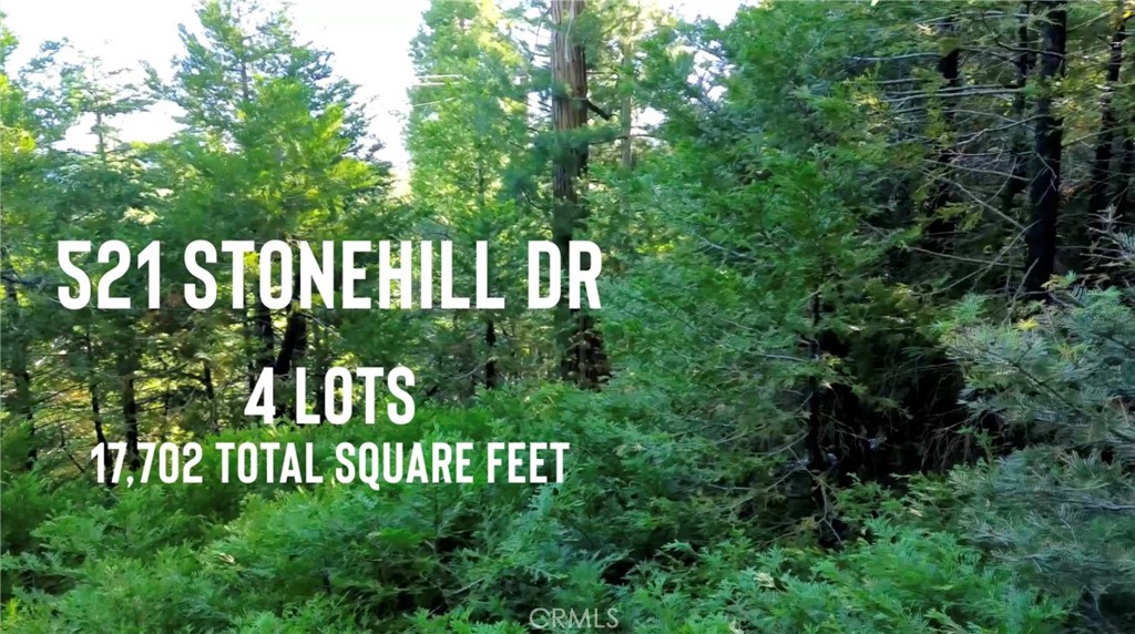 521 Stone Hill Property Photo 1