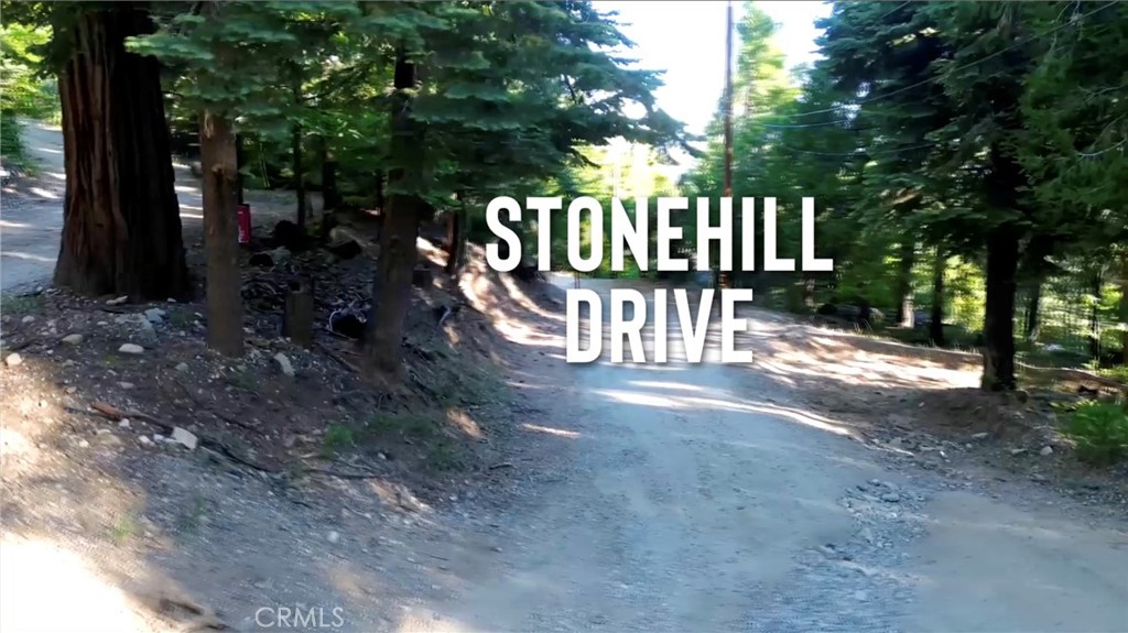 521 Stone Hill Property Photo 4