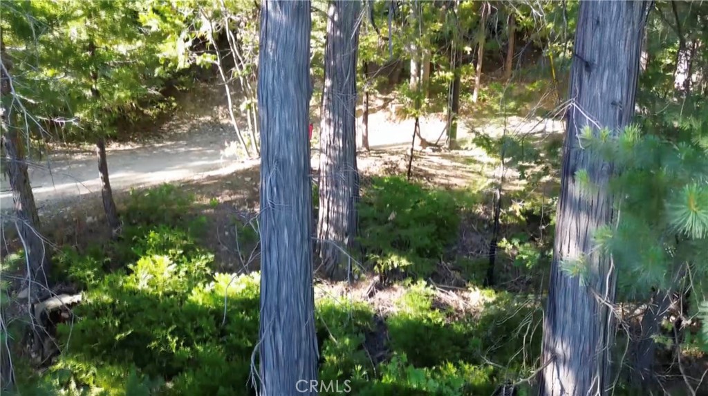 521 Stone Hill Property Photo 5