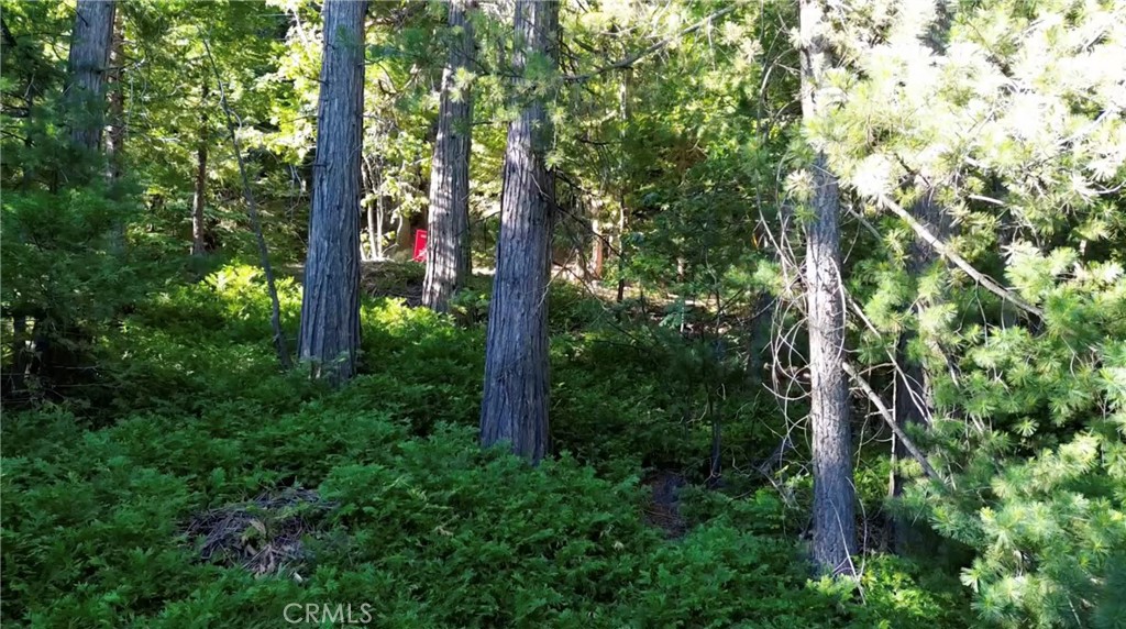 521 Stone Hill Property Photo 6