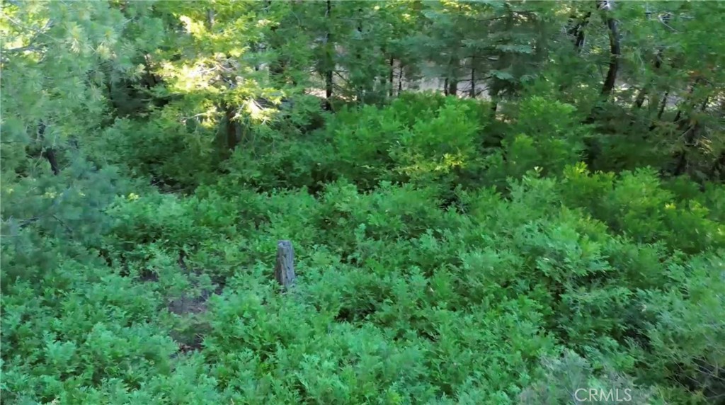 521 Stone Hill Property Photo 7
