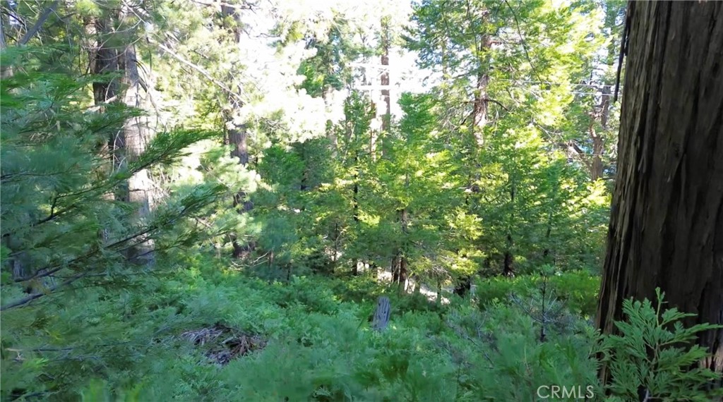521 Stone Hill Property Photo 8