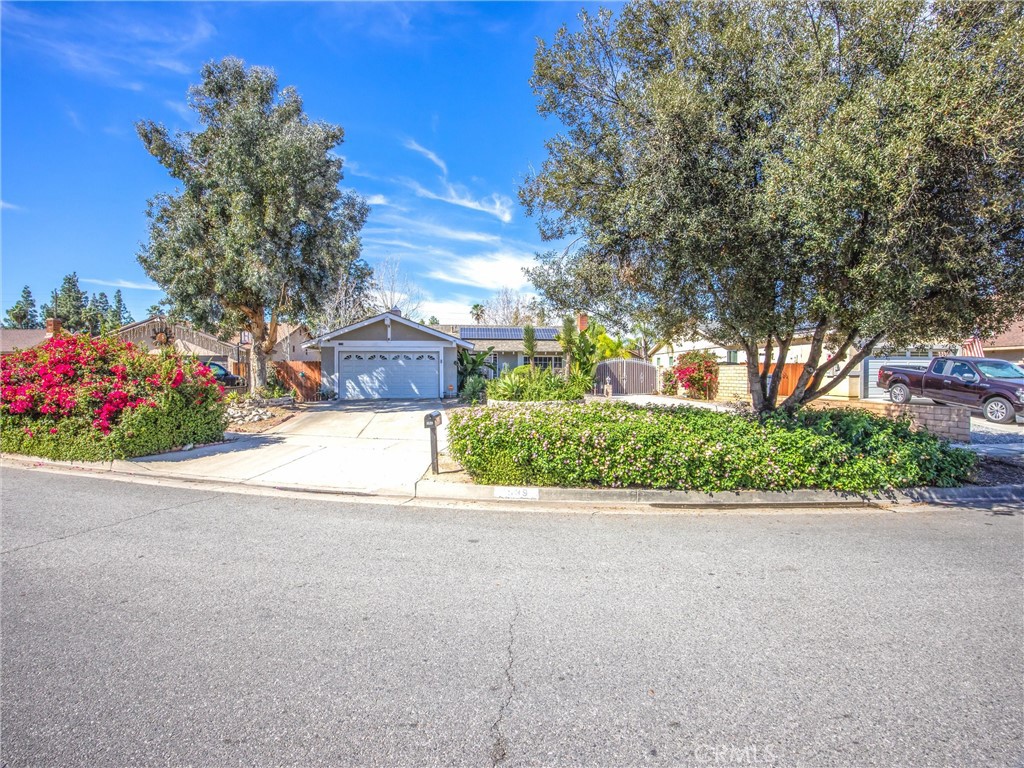 1539 Robyn Property Photo 3