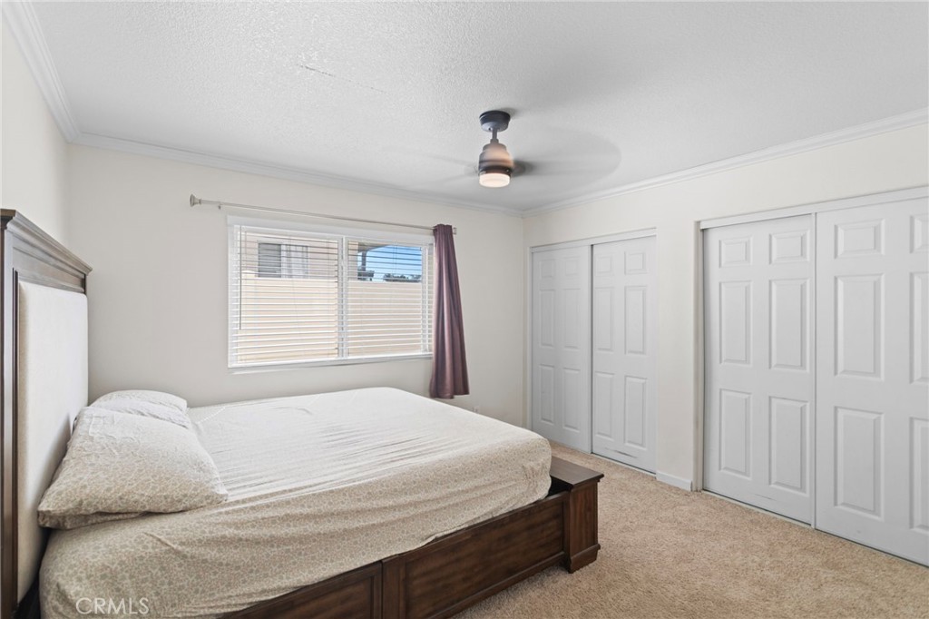 34849 Tara Property Photo 9