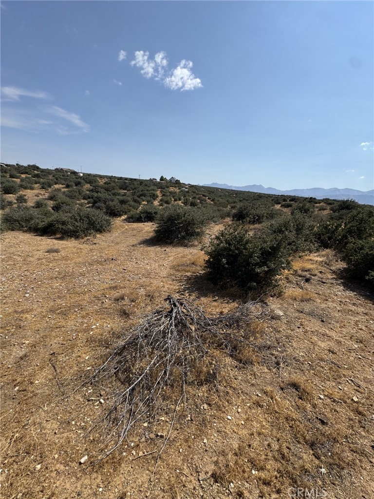 0 Mesquite Property Photo 3
