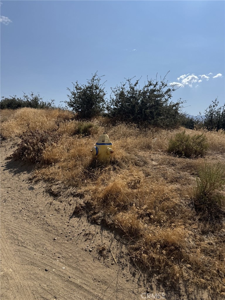 0 Mesquite Property Photo 5