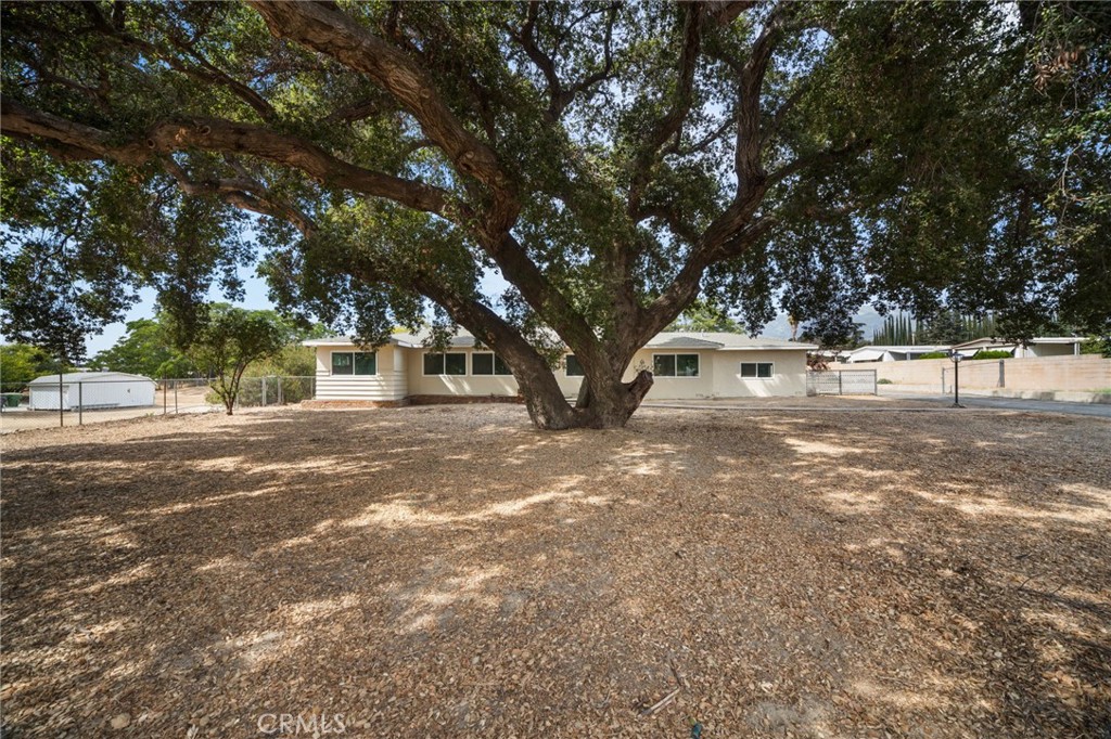 39412 Cherry Valley Boulevard Property Photo 7
