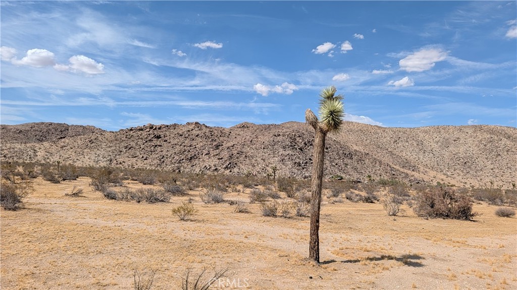 5940 Antelope Property Photo 5