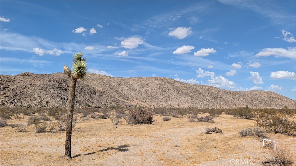 5940 Antelope Property Photo 6