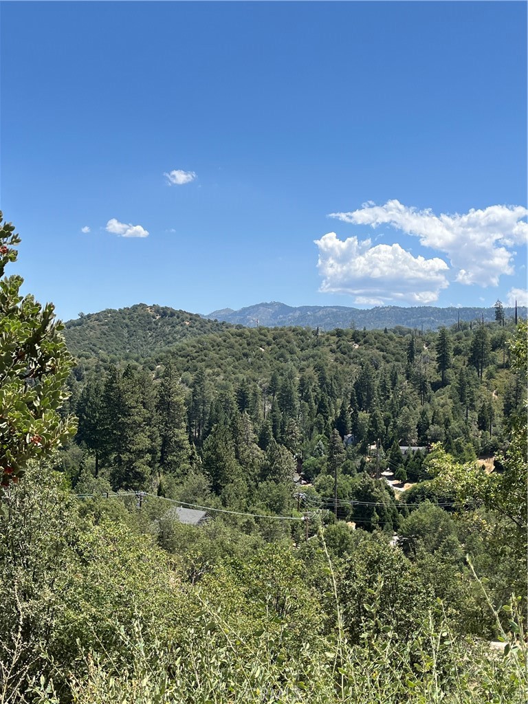 0 Hill Drive Property Photo 1