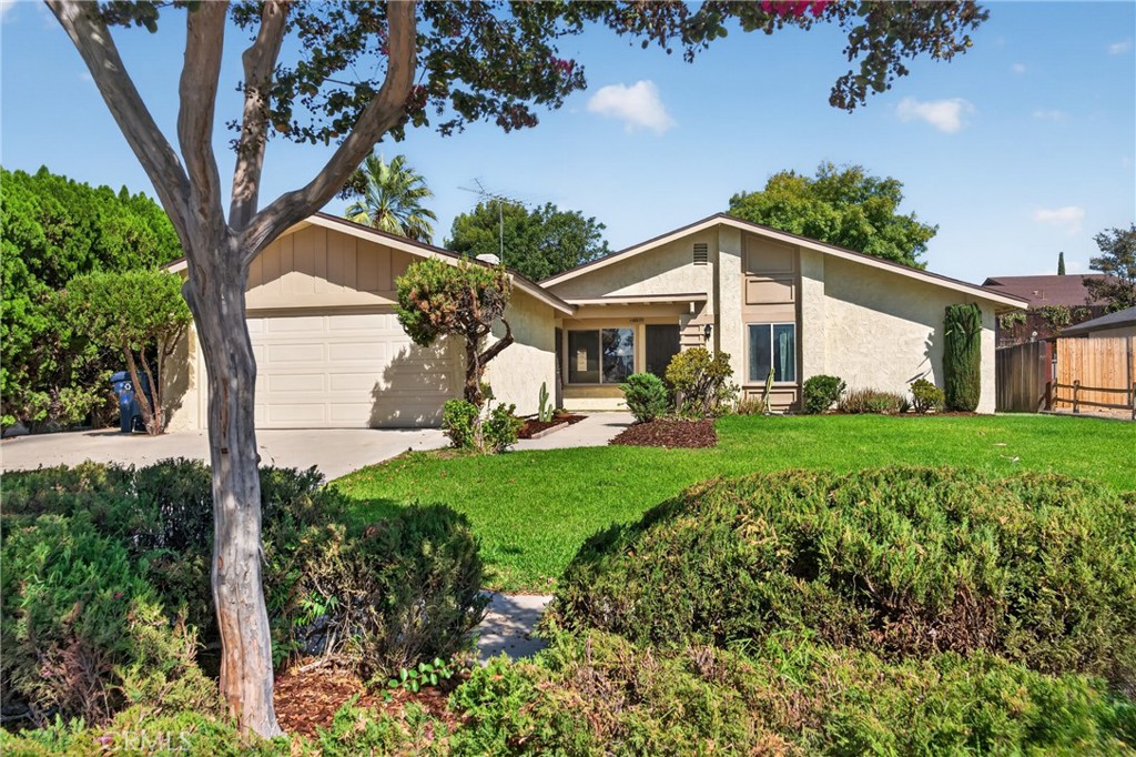 1228 Placer Property Photo 3