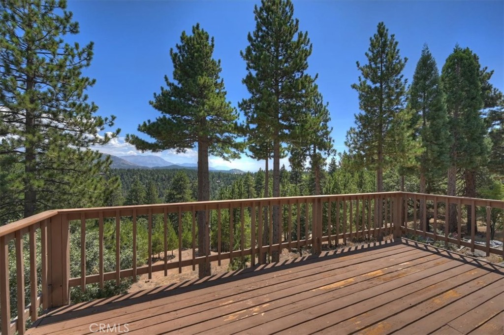 1781 Nob Hill Property Photo 4