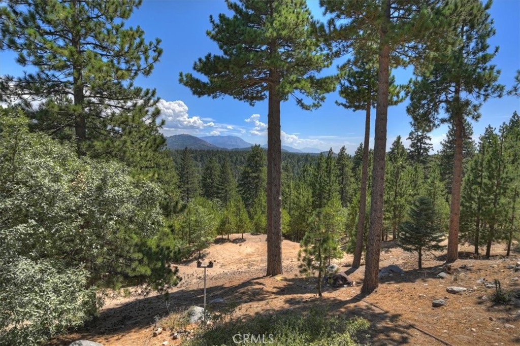 1781 Nob Hill Property Photo 32