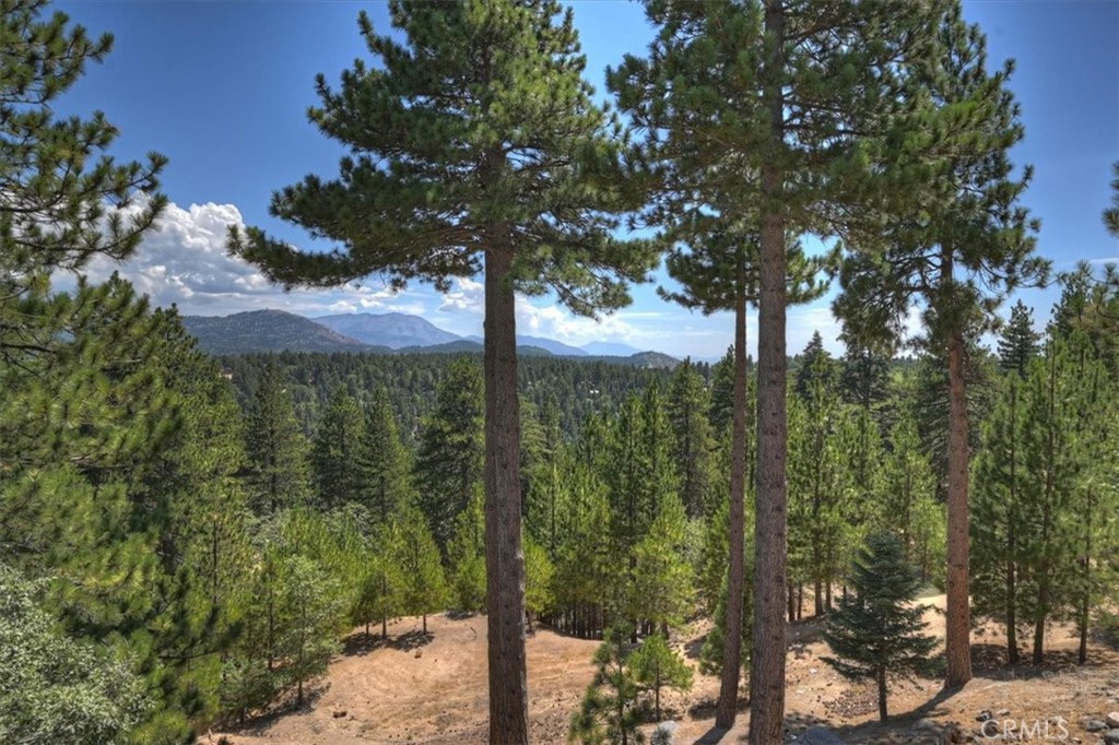 1781 Nob Hill Property Photo 39