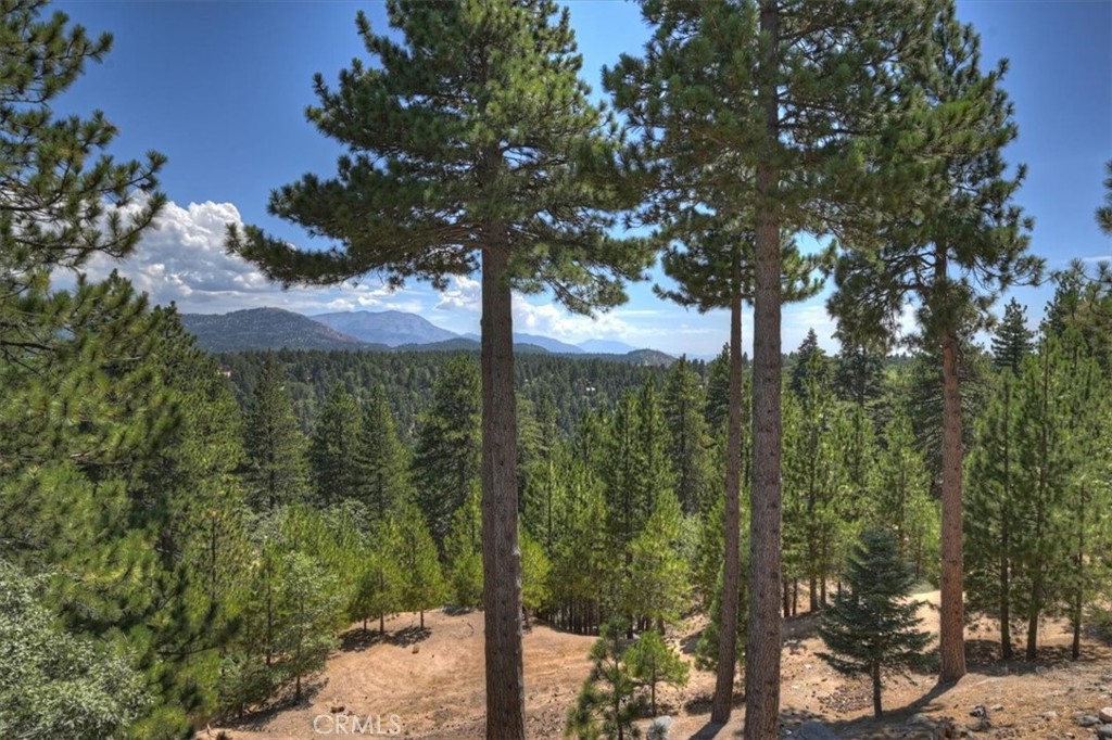 1781 Nob Hill Property Photo 39