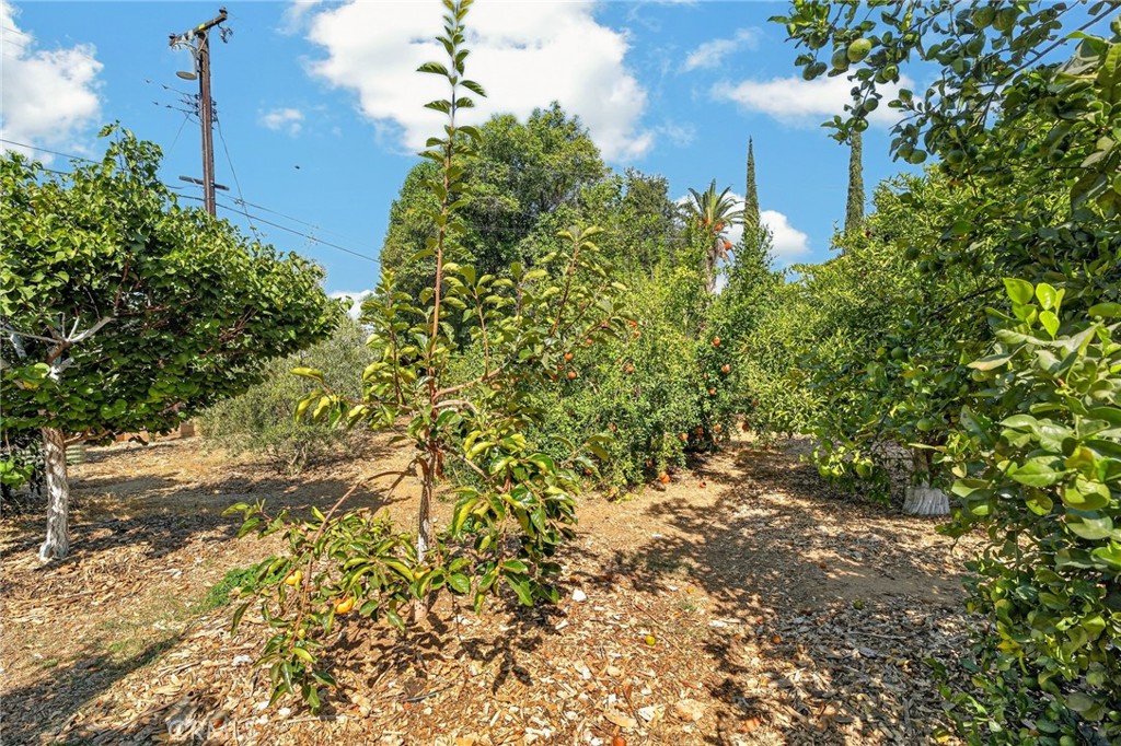 302 S San Mateo Street Property Photo 39