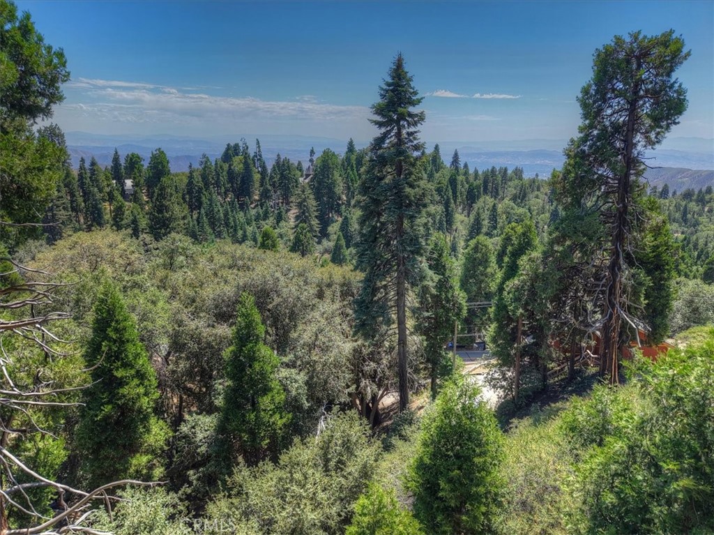 31070 Old City Creek Property Photo 1