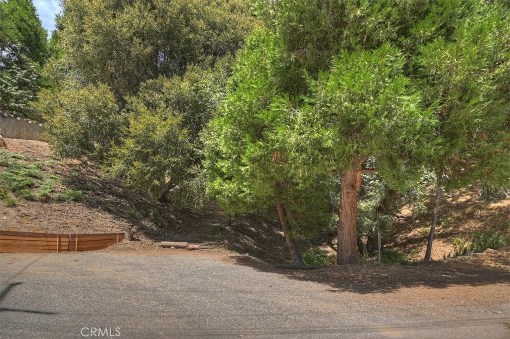 31070 Old City Creek Property Photo 4