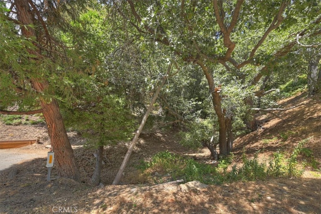 31070 Old City Creek Property Photo 7