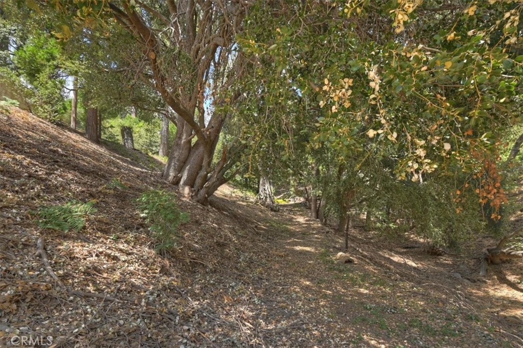 31070 Old City Creek Property Photo 8